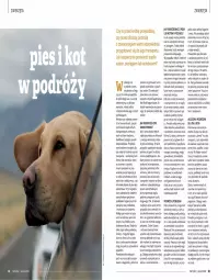 Gazetka promocyjna Drogerie Natura - Gazetka Drogerie Natura - Gazetka - ważna od 31.08 do 31.08.2022 - strona 35 - produkty: Piec, Por, Noż, Mus, Koc, Gra, Pociąg, Kosz, Pojazd, Napoje, Tera, Tran, LANA, LEGO, Smycz, Torba, Sport, Fotelik, Pudełko, Autobus, Fotel, Olej, Mięta, Zwierzęta, Podkład