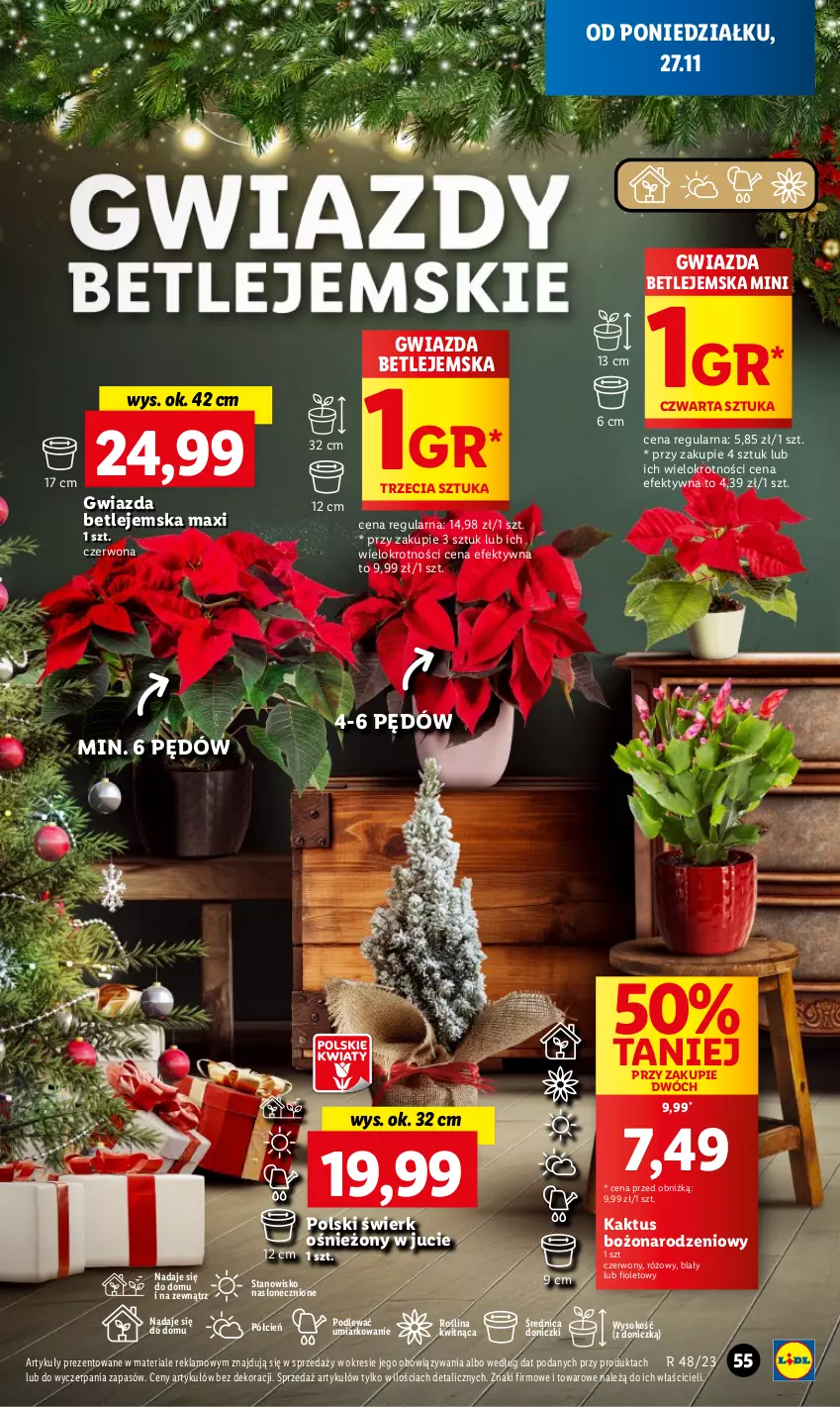 Gazetka promocyjna Lidl - GAZETKA - ważna 27.11 do 29.11.2023 - strona 69 - produkty: Cień, Gwiazda, Kaktus, O nas, Sok