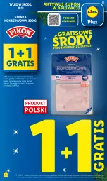 Gazetka promocyjna Lidl - GAZETKA - Gazetka - ważna od 29.11 do 29.11.2023 - strona 24 - produkty: Ser, Gra, Szynka konserwowa, Szynka, Olej