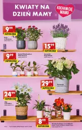 Gazetka promocyjna Biedronka - W tym tygodniu PN - Gazetka - ważna od 28.05 do 28.05.2022 - strona 14 - produkty: Torebka, Kalanchoe, Wazon, 