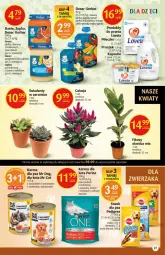 Gazetka promocyjna Delikatesy Centrum - Gazetka Delikatesy Centrum - Gazetka - ważna od 08.09 do 08.09.2021 - strona 27 - produkty: Kurczak, Banany, Marchewka, Warzywa, Ser, Ryż, Pur, Gerber, Lovela, Purina, Mleczko, Spaghetti, Deser, Mango, Sukulent, Pedigree, Jabłka
