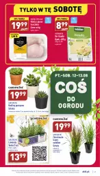 Gazetka promocyjna Aldi - Katalog spożywczy - Gazetka - ważna od 13.08 do 13.08.2022 - strona 27 - produkty: Kurczak, Sok, Ser, Hofburger, Mięsne specjały, Burger, Gouda