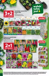 Gazetka promocyjna Stokrotka - Supermarket Opole/Radom - Gazetka - ważna od 26.02 do 26.02.2025 - strona 34 - produkty: Stojak, HP
