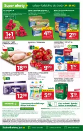 Gazetka promocyjna Stokrotka - Supermarket Opole/Radom - Gazetka - ważna od 26.02 do 26.02.2025 - strona 39 - produkty: Piwa, Piwo, Kurczak, Lubella, Ludwik, JBL, Gra, Telefon, Papier, Filet z piersi kurczaka, Cukier, Bell, Papryka czerwona, Papryka, Papier toaletowy, Dres, Perła, Farm Milk, Mąka, Bella, Masło, Rzodkiewka, HP, Fa