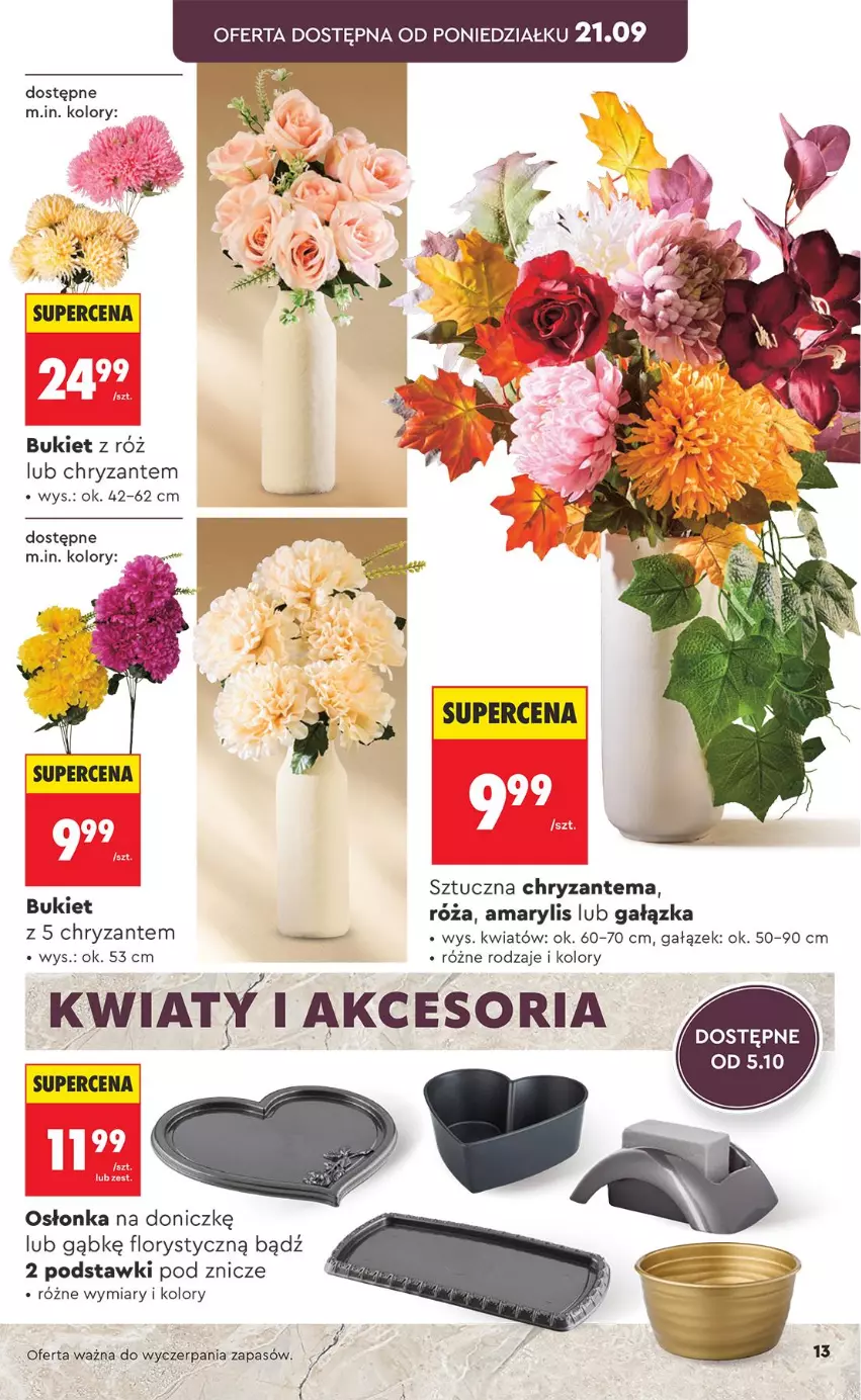 Gazetka promocyjna Biedronka - Gazetka - ważna 21.09 do 28.09.2026 - strona 13 - produkty: Amarylis, Bukiet, Chryzantema, Osłonka, Róża, Znicz