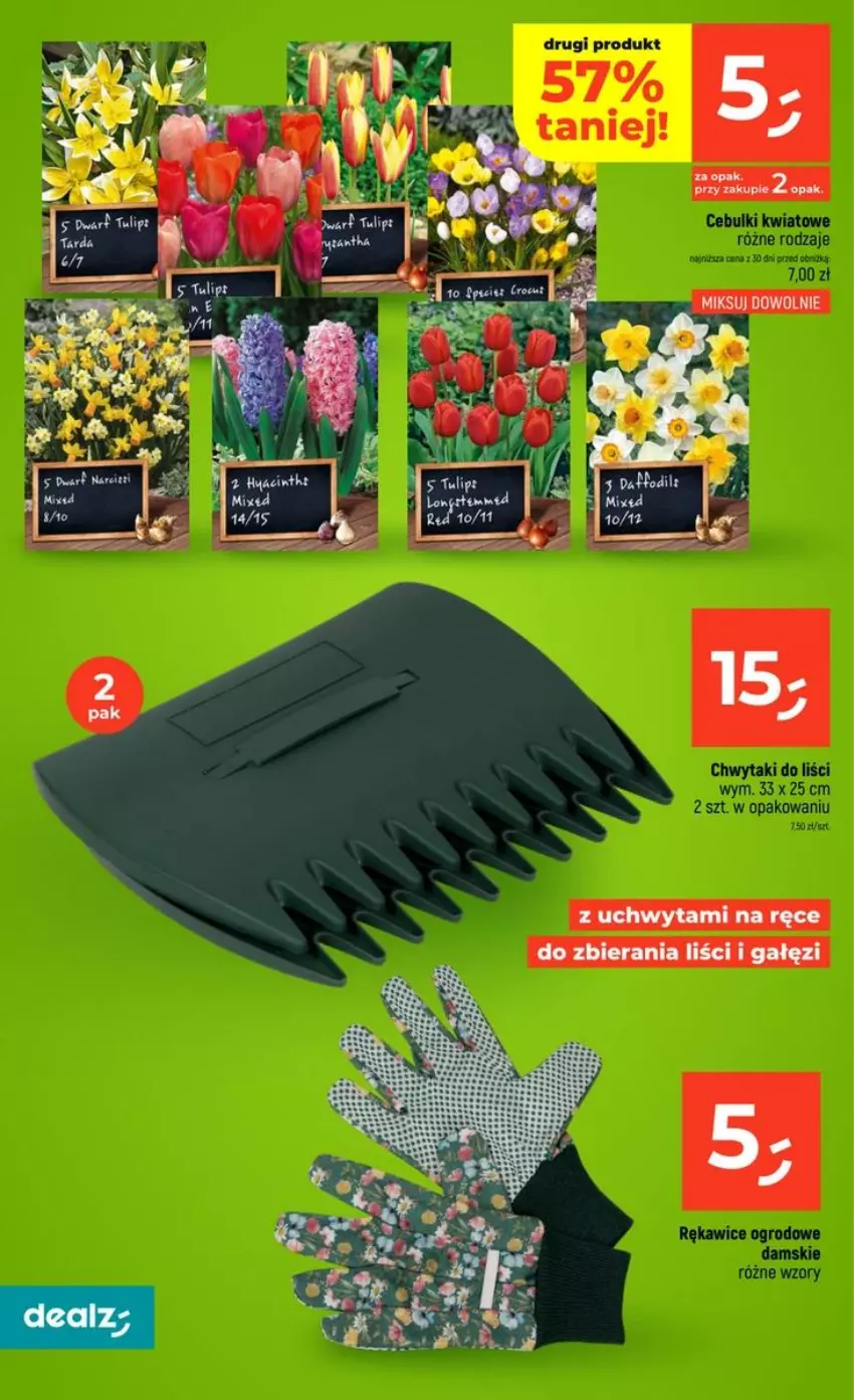 Gazetka promocyjna Dealz - NOWA GAZETKA - ważna 10.09 do 16.09.2026 - strona 44