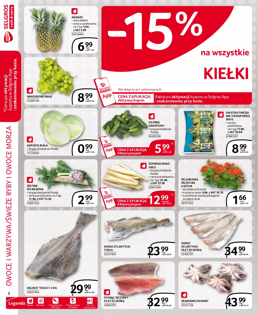 Gazetka promocyjna Selgros - Extra Oferta - ważna 01.04 do 30.04.2021 - strona 2 - produkty: Ananas, Dorsz, Grunt, Halibut, Kiełki, LG, Ogórek, Owoce, Owoce morza, Pstrąg, Pstrąg tęczowy, Ryby i owoce morza, Sałat, Sałatka, Sok, Tusz, Warzywa, Wino