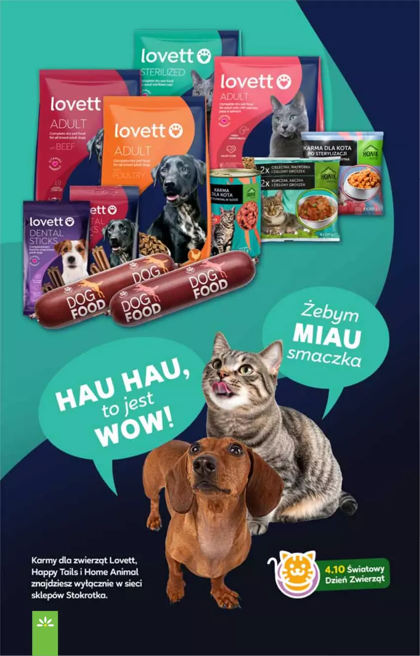 Gazetka promocyjna Stokrotka - Market - ważna 02.10 do 08.10.2025 - strona 31