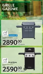 Gazetka promocyjna Selgros - E-katalog grill & wypoczynek - Gazetka - ważna od 04.08 do 04.08.2021 - strona 34 - produkty: Ser, Grill, Grill gazowy