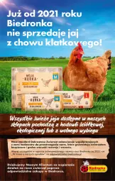 Gazetka promocyjna Biedronka - Od czwartku - Gazetka - ważna od 11.10 do 11.10.2023 - strona 31 - produkty: Piec, Por, O nas