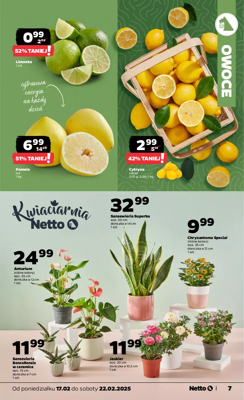 Gazetka promocyjna Netto - Od Poniedziałku - ważna 17.02 do 22.02.2025 - strona 7 - produkty: Chryzantema, Limonka, Owoce, Pomelo, Siatka