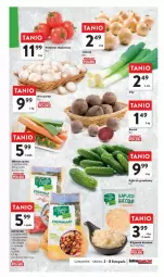 Gazetka promocyjna Intermarche - Gazetka - ważna od 08.11 do 08.11.2023 - strona 11 - produkty: Piec, Top, Ogórek, Ziemniaki, Sałat, Pieczarka, Grunt