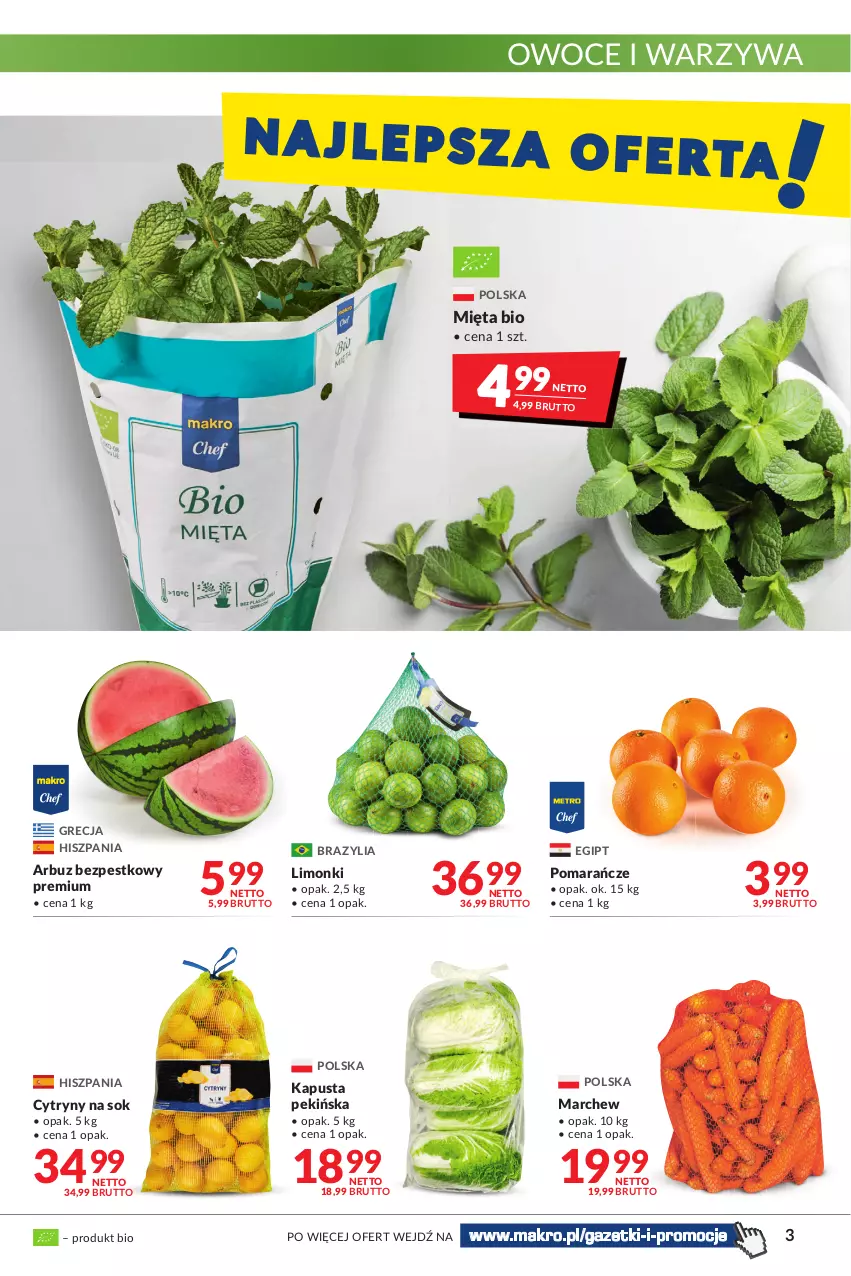 Gazetka promocyjna Makro - [Oferta promocyjna] Artykuły spożywcze i przemysłowe - ważna 14.06 do 27.06.2022 - strona 3 - produkty: Arbuz, Cytryny, Mięta, Owoce, Pomarańcze, Sok, Warzywa