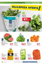 Gazetka promocyjna Makro - [Oferta promocyjna] Artykuły spożywcze i przemysłowe - Gazetka - ważna od 27.06 do 27.06.2022 - strona 3 - produkty: Warzywa, Sok, Cytryny, Pomarańcze, Owoce, Arbuz, Mięta