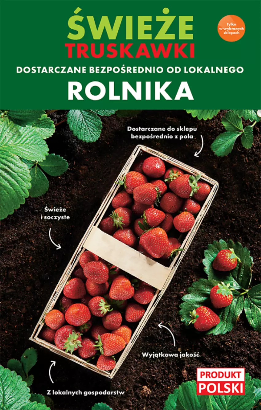 Gazetka promocyjna Biedronka - ważna 20.06 do 26.06.2022 - strona 11 - produkty: Rolnik, Truskawki