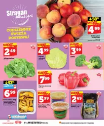 Gazetka promocyjna Topaz - Gazetka - Gazetka - ważna od 26.08 do 26.08.2026 - strona 10 - produkty: Top, Sałata masłowa, Zupa, Papryka czerwona, Papryka, Ziemniaki, Sałat, Nektarynka, Masło, Nektar