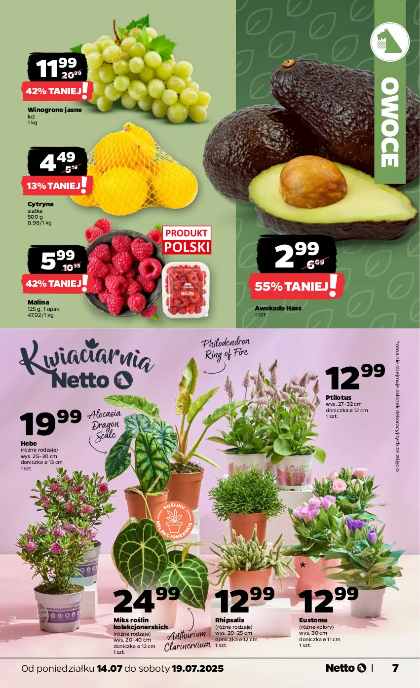 Gazetka promocyjna Netto - Od Poniedziałku - ważna 14.07 do 19.07.2025 - strona 7 - produkty: Owoce, Siatka, Wino