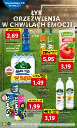 Gazetka promocyjna Lidl - GAZETKA - Gazetka - ważna od 23.11 do 23.11.2022 - strona 44 - produkty: Gra, LANA, Syrop, Woda mineralna, Woda, Napój, Herbapol, Fa