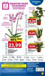 Gazetka promocyjna Lidl - GAZETKA - Gazetka - ważna od 23.11 do 23.11.2022 - strona 59 - produkty: Por, Gry, Papier, Kaktus, Portal, Tera, Storczyk