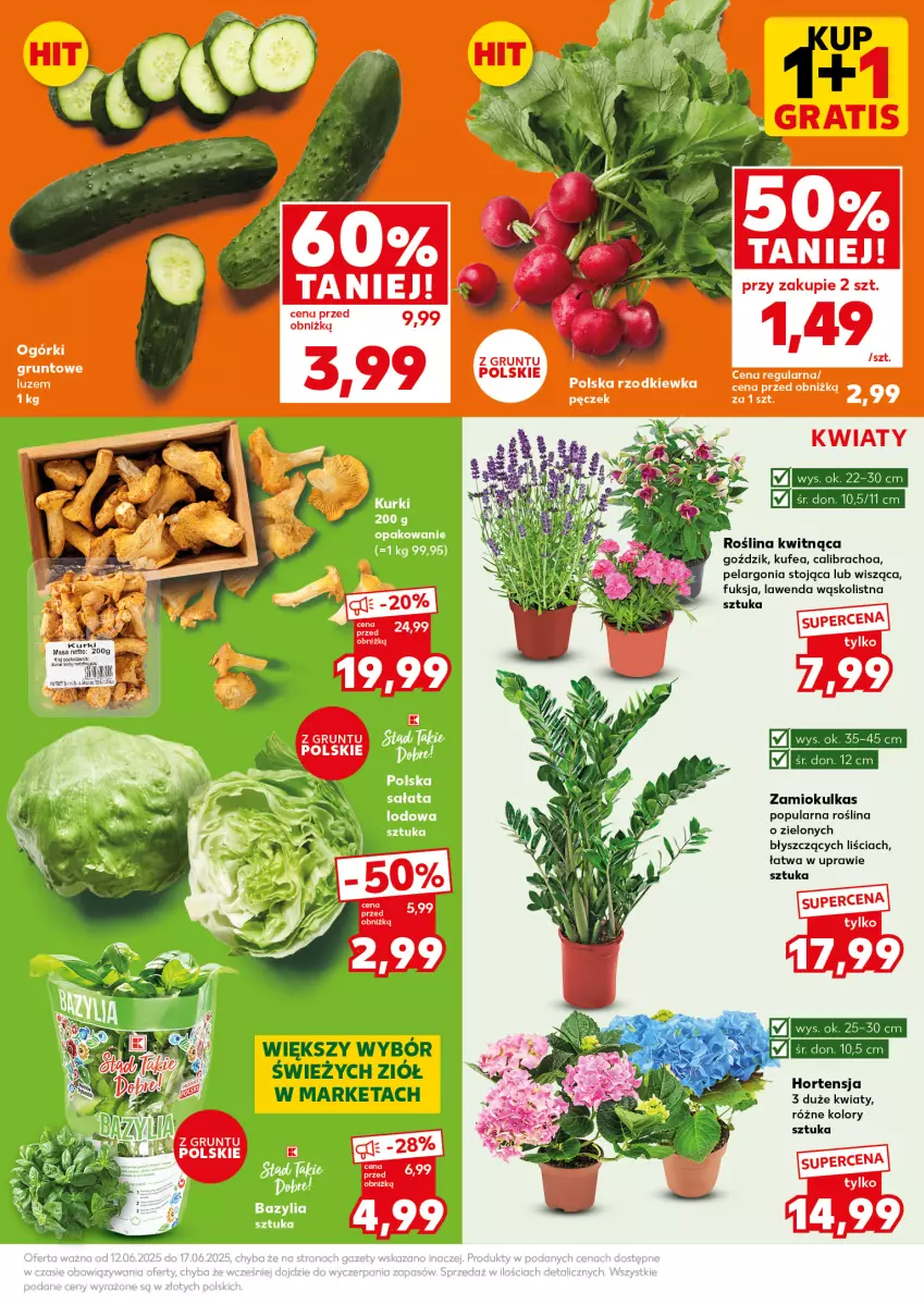 Gazetka promocyjna Kaufland - Mocny Start - ważna 16.06 do 17.06.2025 - strona 13 - produkty: Grunt, Rzodkiewka, Sałat