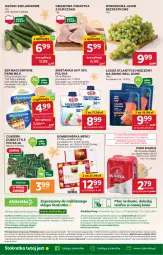 Gazetka promocyjna Stokrotka - Supermarket - Gazetka - ważna od 22.04 do 22.04.2025 - strona 45 - produkty: Piwa, Piwo, Kurczak, Warzywa, Ser, JBL, Gra, Telefon, Cukier, O nas, Mlekovita, Mascarpone, Warka, Dres, Winogrona, Farm Milk, Owoce, Cukierki, Wino, Wagi, Merci, Mięso, Mleko, Fa