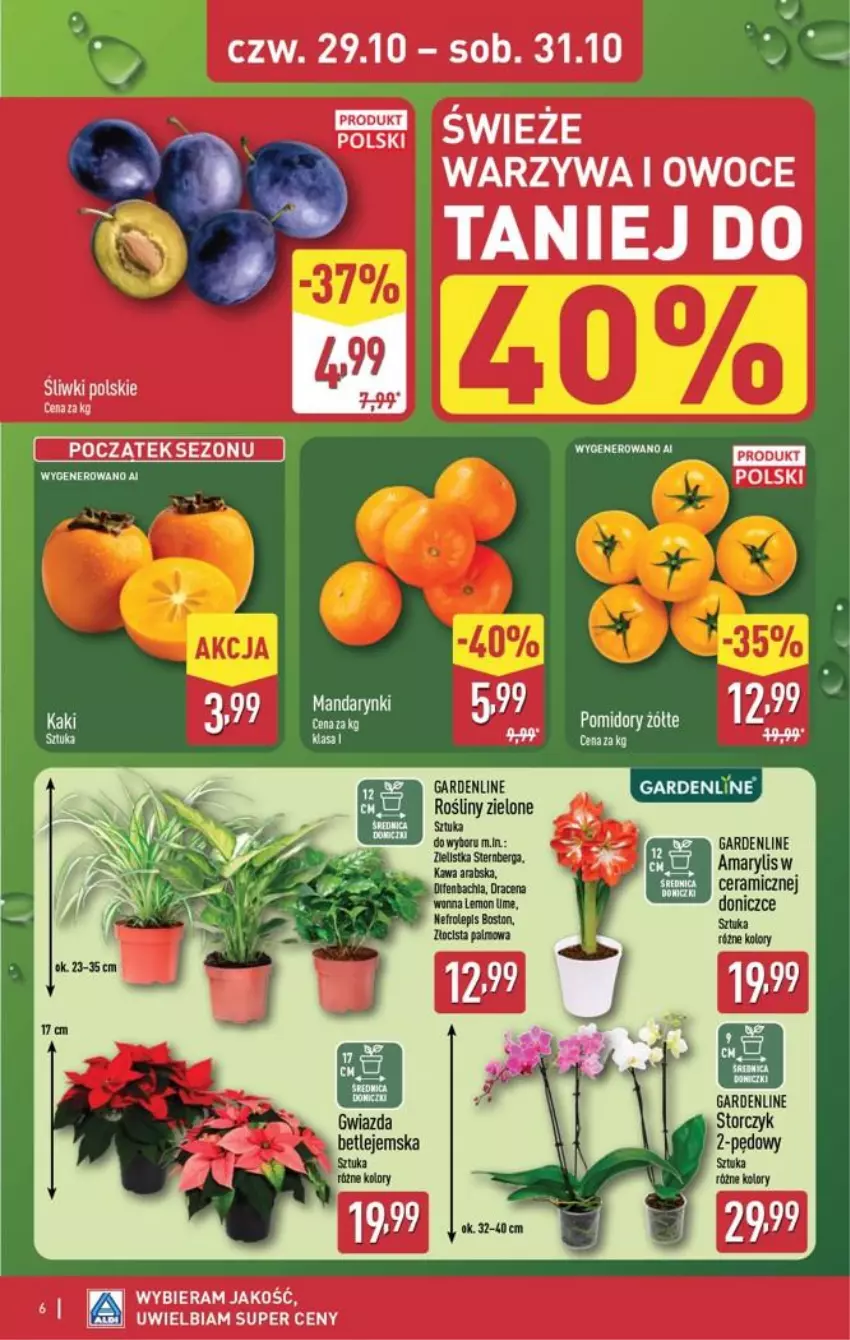 Gazetka promocyjna Aldi - Oferta weekendowa - ważna 29.10 do 31.10.2026 - strona 6 - produkty: Amarylis, Chia, Kawa, Storczyk