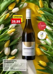 Gazetka promocyjna Lidl - KATALOG ALKOHOLI MOCNYCH I WIN - Gazetka - ważna od 17.04 do 17.04.2022 - strona 3 - produkty: Warzywa, Ser, Sauvignon Blanc, Sałat, Owoce morza, Owoce