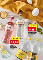 Gazetka promocyjna Lidl - KATALOG ALKOHOLI MOCNYCH I WIN - Gazetka - ważna od 17.04 do 17.04.2022 - strona 36 - produkty: Gin, Schweppes