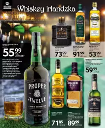 Gazetka promocyjna Selgros - Katalog Alkohole Mocne - Gazetka - ważna od 15.09 do 15.09.2021 - strona 6 - produkty: Gin, Whiskey, Jameson, Lack, Bushmills, Tullamore Dew