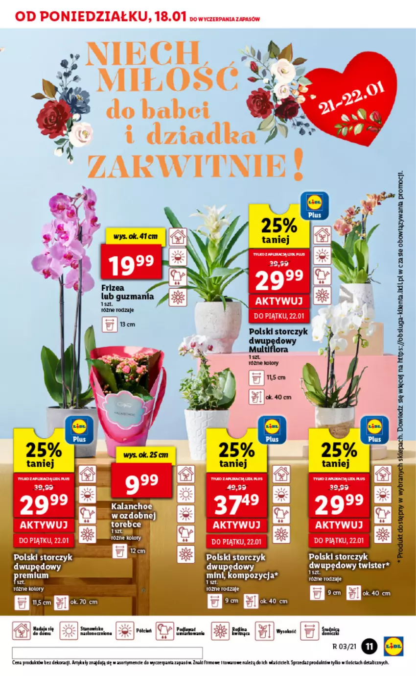 Gazetka promocyjna Lidl - GAZETKA - ważna 18.01 do 20.01.2021 - strona 11