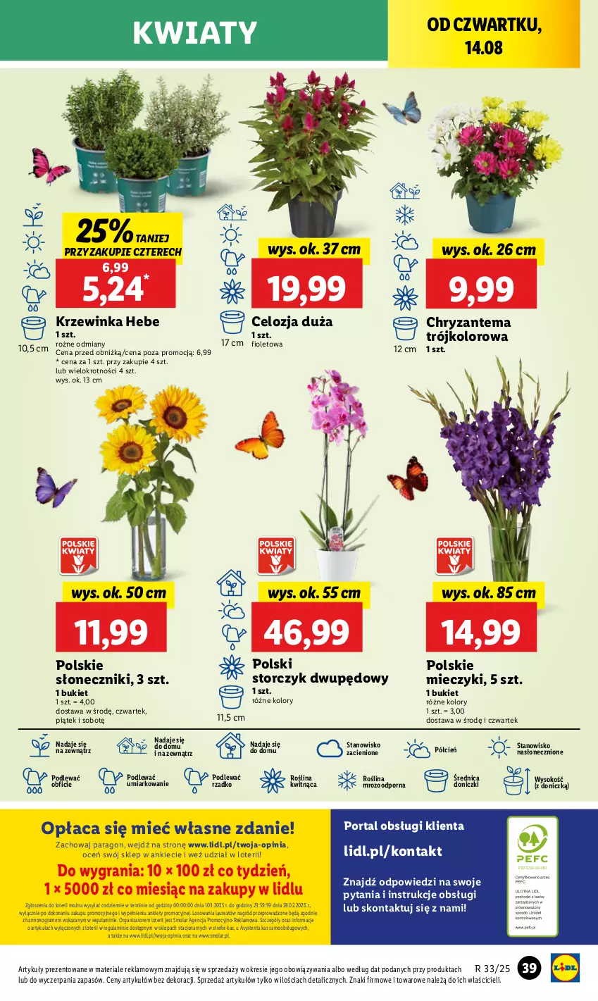Gazetka promocyjna Lidl - GAZETKA - ważna 13.08 do 16.08.2025 - strona 41 - produkty: Anew, Bukiet, Chryzantema, Cień, Gra, Inka, Laur, Miecz, Mola, O nas, Por, Portal, Sok, Storczyk