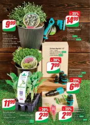 Gazetka promocyjna Dino - Gazetka - ważna od 22.04 do 22.04.2025 - strona 61 - produkty: Sok, Pistolet, Odżywka, Fa
