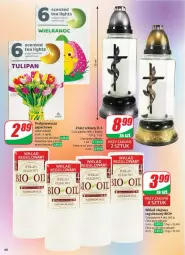 Gazetka promocyjna Dino - Gazetka - ważna od 22.04 do 22.04.2025 - strona 65 - produkty: Tulipan, Podgrzewacze, Olej, Wkład olejowy