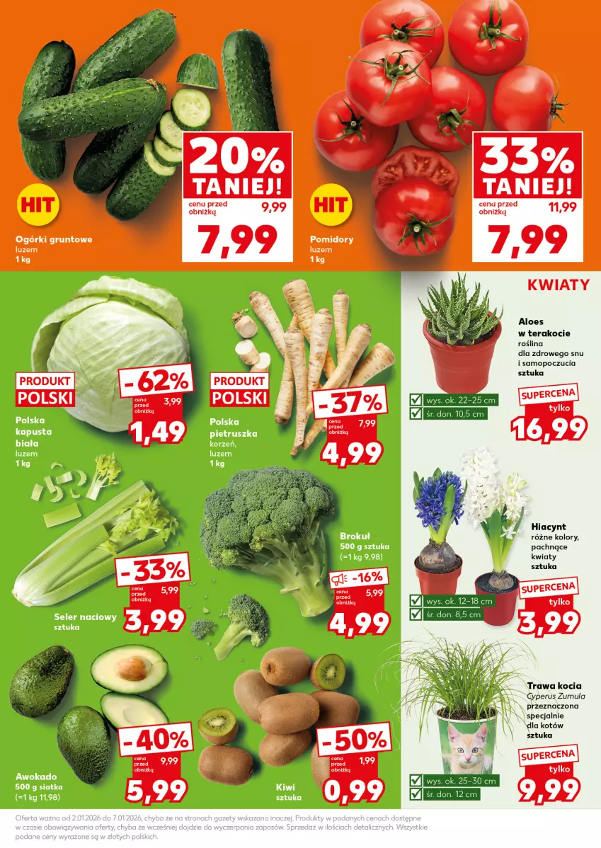 Gazetka promocyjna Kaufland - Mocny Start - ważna 05.01 do 07.01.2026 - strona 15 - produkty: Grunt, Hiacynt, Kije, Koc, Mop, Pietruszka, Pomidory, Seler naciowy, Siatka, Tera
