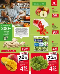Gazetka promocyjna Selgros - Gazetka - ważna od 05.02 do 05.02.2025 - strona 12 - produkty: Sałat, Mango, Ligol, Jabłka, LG