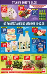 Gazetka promocyjna PoloMarket - Gazetka pomocyjna - Gazetka - ważna od 17.08 do 17.08.2021 - strona 9 - produkty: Gra, Tera, Laur, Edam, Bukiet, Miecz