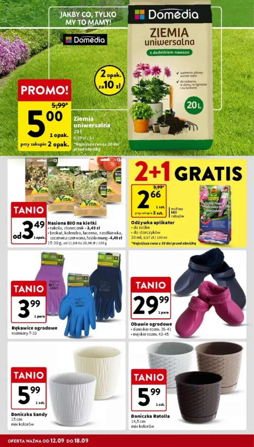 Gazetka promocyjna Intermarche - ważna 12.09 do 18.09.2024 - strona 35 - produkty: Kiełki, Kolendra, Obuwie, Odżywka, Rękawice, Rukola, Rzodkiewka, Storczyk