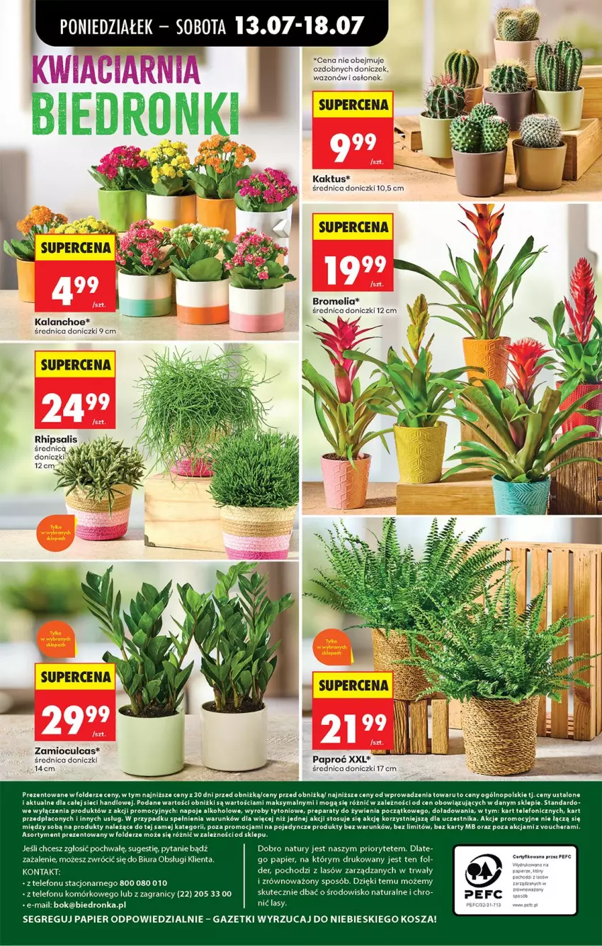Gazetka promocyjna Biedronka - Od Poniedziałku - ważna 13.07 do 18.07.2026 - strona 31 - produkty: Bromelia, Gra, Kaktus, Kalanchoe, Kosz, Napoje, Papier, Ser, Telefon, Wazon