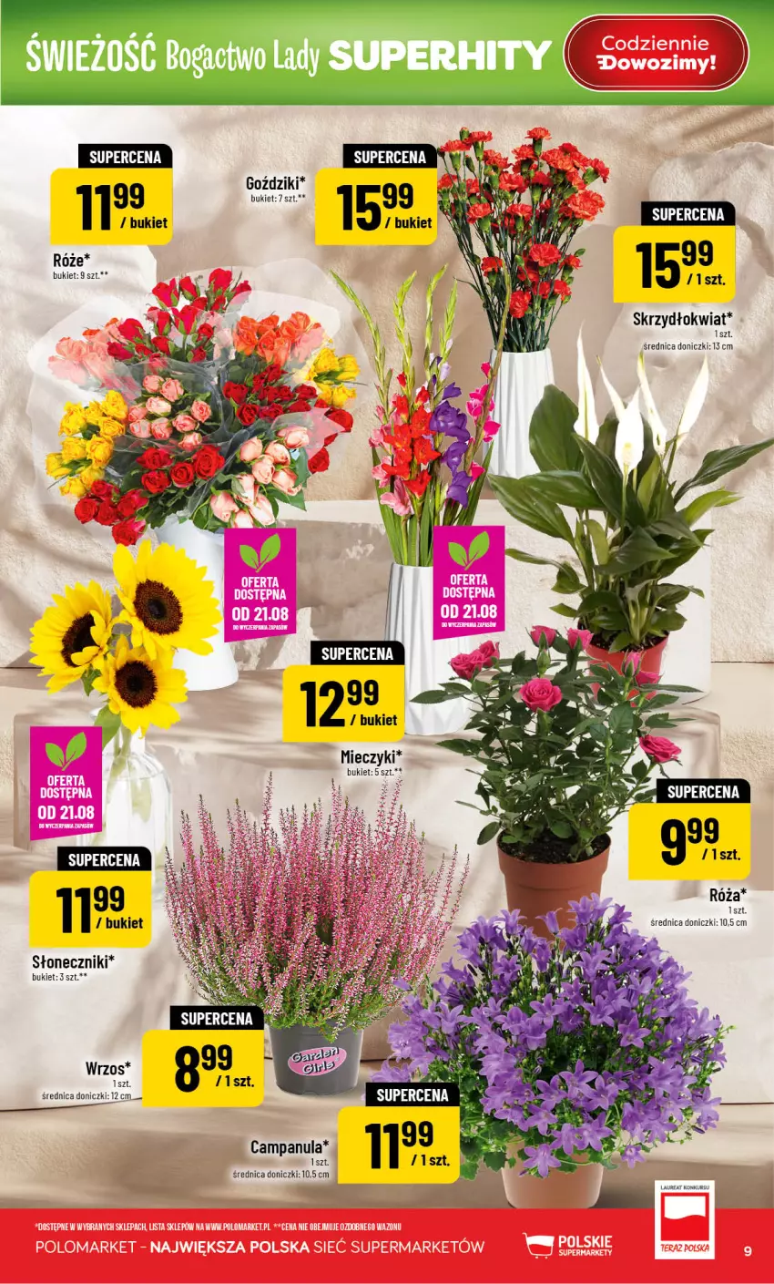 Gazetka promocyjna PoloMarket - Gazetka POLOmarket - ważna 19.08 do 25.08.2026 - strona 9 - produkty: Bukiet, Campanula, Miecz