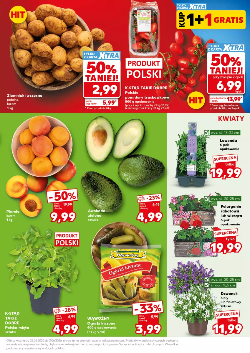 Gazetka promocyjna Kaufland - Mocny Start - ważna 01.06 do 02.06.2026 - strona 7 - produkty: Dzwonek, Mięta, Pomidory