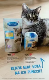 Gazetka promocyjna Rossmann - Gazetka - ważna od 16.10 do 16.10.2023 - strona 7 - produkty: Mleko dla kotów, Winston, Przysmak dla kota, Mleko