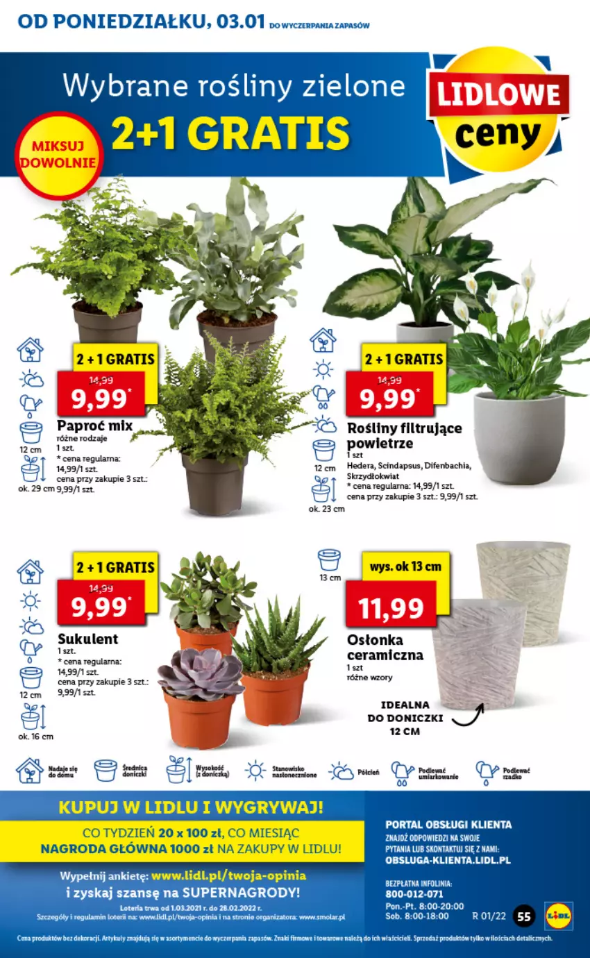 Gazetka promocyjna Lidl - GAZETKA - ważna 03.01 do 05.01.2022 - strona 55 - produkty: Chia, Fa, Gra, Gry, NBA, Osłonka, Sok, Sukulent