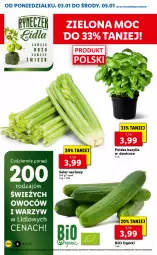 Gazetka promocyjna Lidl - GAZETKA - Gazetka - ważna od 05.01 do 05.01.2022 - strona 6 - produkty: Bazyl, Seler naciowy, Bazylia, LG