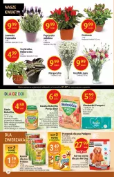 Gazetka promocyjna Delikatesy Centrum - Gazetka Delikatesy Centrum - Gazetka - ważna od 07.07 do 07.07.2021 - strona 26 - produkty: Kurczak, Warzywa, Sos, Ryż, Por, Pampers, Friskies, BoboVita, Bukiet warzyw, Chusteczki, Bukiet, Pedigree