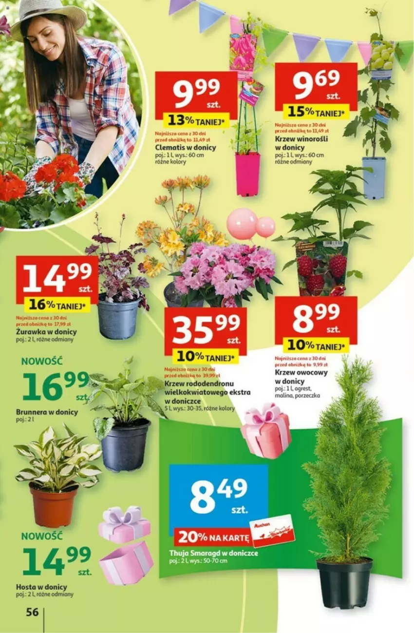 Gazetka promocyjna Auchan - ważna 02.05 do 08.05.2024 - strona 52 - produkty: Gres, Por, Wino