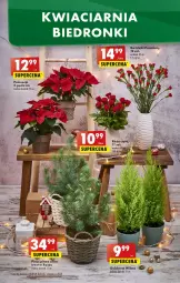 Gazetka promocyjna Biedronka - W tym tygodniu - Gazetka - ważna od 30.11 do 30.11.2022 - strona 58 - produkty: Sok, Poinsecja, Kosz, Wazon, , Fa