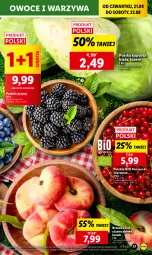 Gazetka promocyjna Lidl - GAZETKA - Gazetka - ważna od 23.08 do 23.08.2025 - strona 21 - produkty: Warzywa, Por, Gra, Jeżyny, Porzeczki czerwone, Brzoskwinie, Owoce