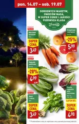 Gazetka promocyjna Aldi - Oferta weekendowa - Gazetka - ważna od 19.07 do 19.07.2025 - strona 9 - produkty: Grejpfrut, Fa