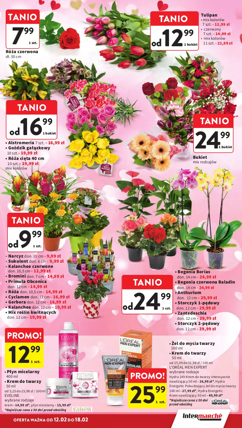 Gazetka promocyjna Intermarche - Gazetka promocyjna - ważna 12.02 do 18.02.2026 - strona 13 - produkty: Bukiet, Chia, Eveline, Gerber, Kalanchoe, Krem do twarzy, Krem nawilżający, Narcyz, Płyn micelarny, Primula, Róża, Storczyk, Sukulent, Tulipan