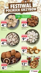 Gazetka promocyjna Intermarche - Gazetka promocyjna - Gazetka - ważna od 18.02 do 18.02.2026 - strona 11 - produkty: Piec, Por, Grzyby, Bell, Portobello, Pieczarka, Boczniak